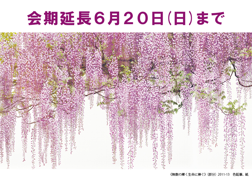 特別展「吉村芳生~超絶技巧を超えて~」