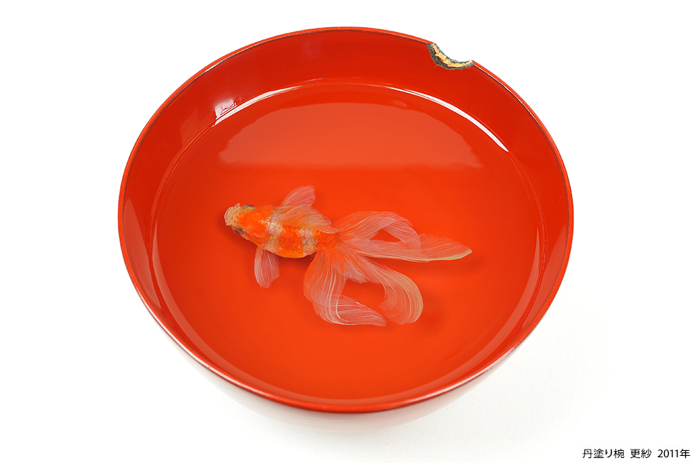 特別展 深堀隆介展「金魚鉢、地球鉢」