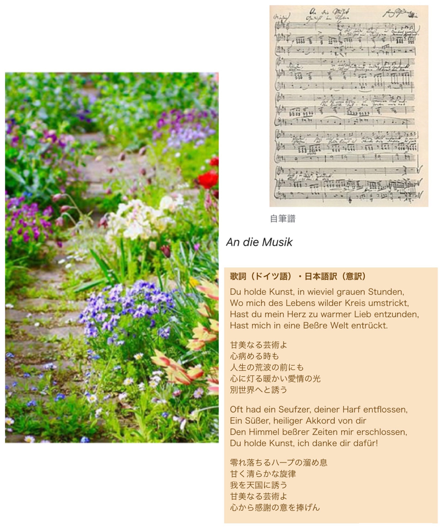 【オルビスホール情報】10/16(日) 「An die Musik Concert 2022 ～W.Piekos教授追悼記念～」開催のお知らせ